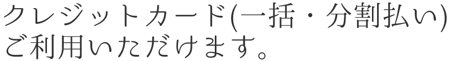 クレジットカード(一括・分割払い)ご利用いただけます。