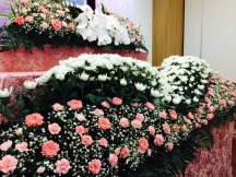 多摩境フォーシーズンメモリアル 写真