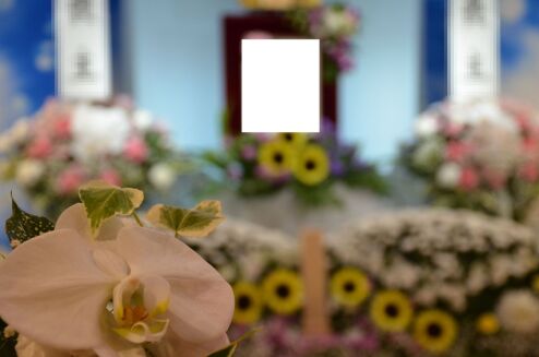 写真